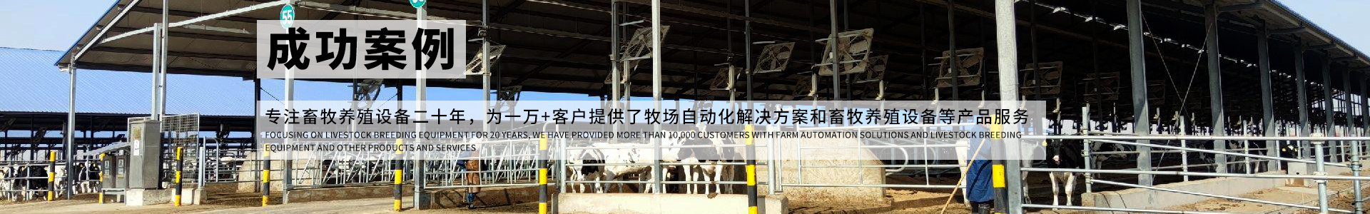 成功案例